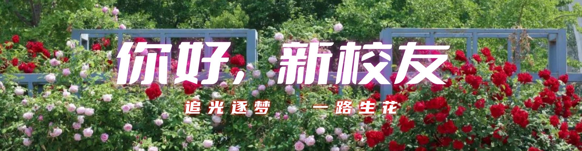 弦歌不辍